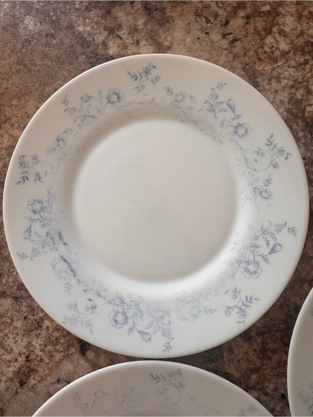 Vintage Arcopal Glenwood Plate-set of 3